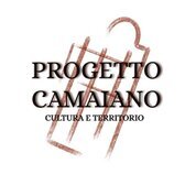 Logo di "Progetto Camaiano"